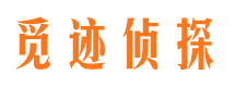 静安市侦探调查公司